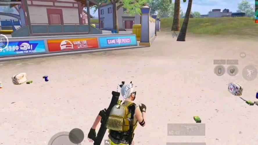 深入了解和平精英辅助现象：技术创新与社会影